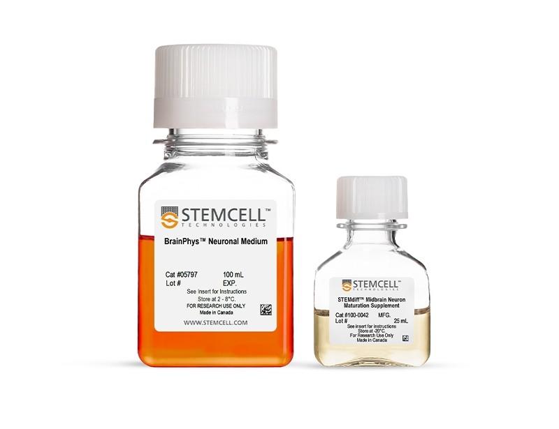 STEMdiff Midbrain Neuron Maturation Kit | 製品情報 | ベリタス