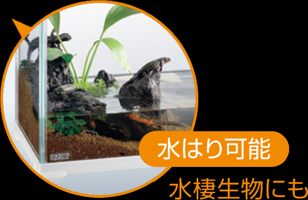 レプテリアホワイト300Low エキゾテラ GEX テラリウム水槽 販売 通販