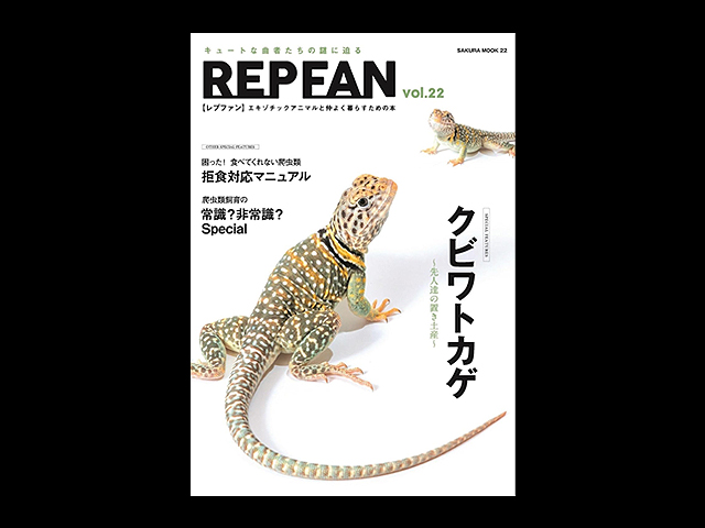 レプファン(REP FAN) 笠倉出版社 販売 通販