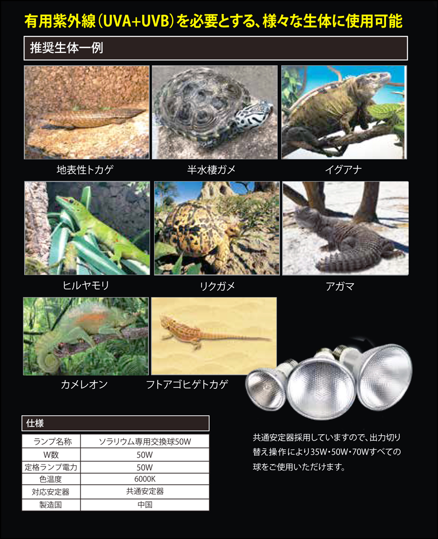 ソラリウムUV専用交換球50W ゼンスイ ペットペットゾーン 販売 通販