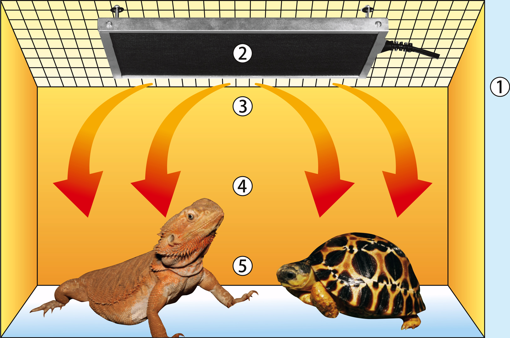 暖突M (だんとつM) レップジャパン 遠赤外線上部ヒーター 販売 通販