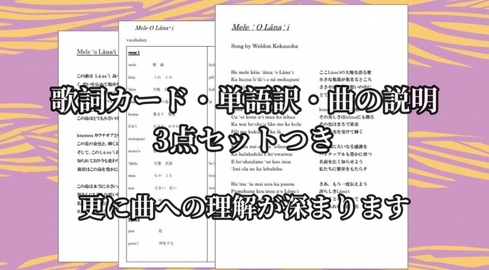 在庫限りで販売終了】 1曲通しHula DVD DVD曲：Mele O Lana'i