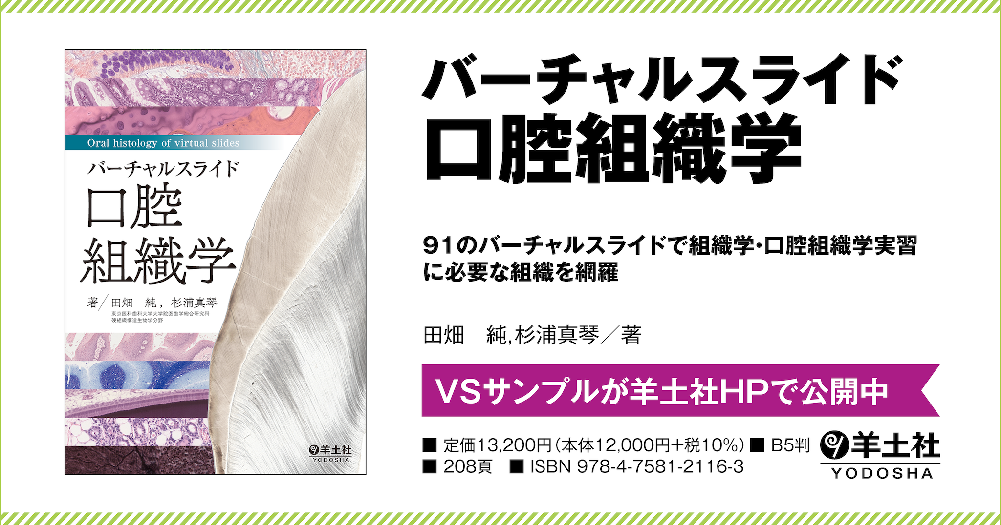 バーチャルスライド 口腔組織学 - 羊土社