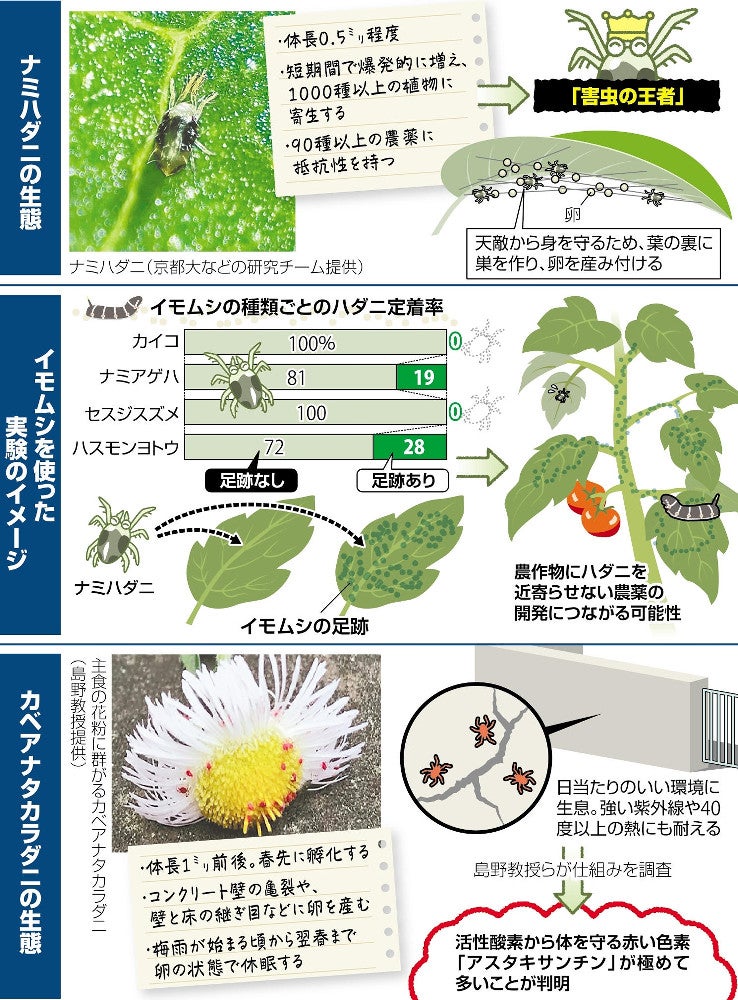 ダニの生存戦略 習性知り駆除に生かす：地域ニュース : 読売新聞