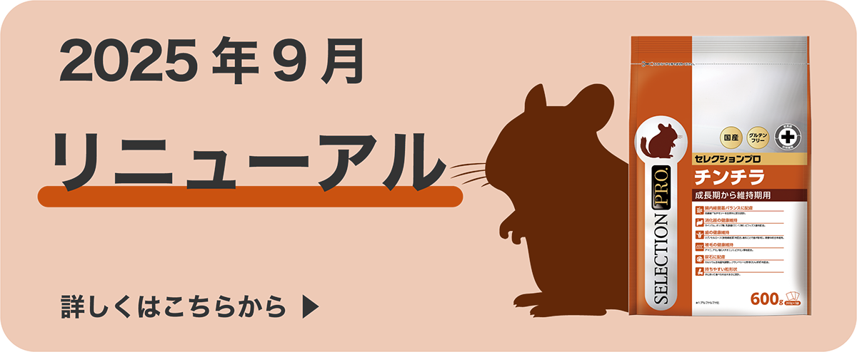CHINCHILLA SELECTION PRO.｜ブランドサイト ― TOP