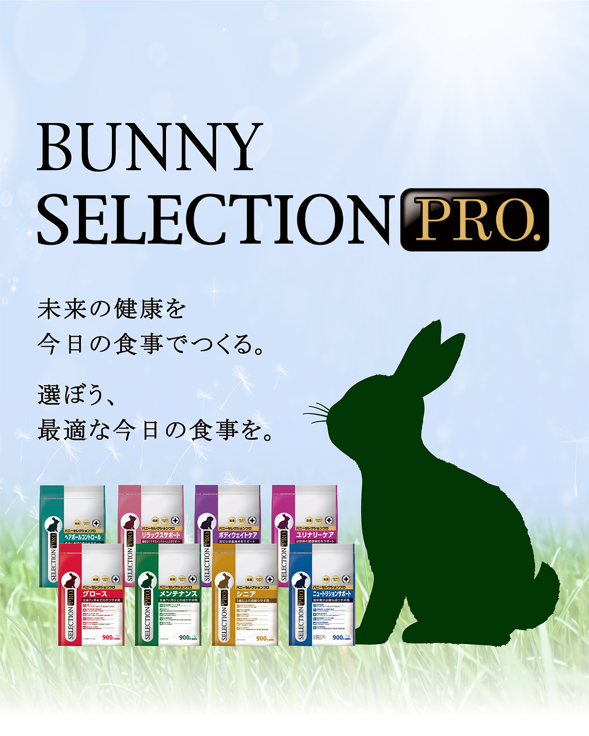 BUNNY SELECTION PRO.｜ブランドサイト ― TOP