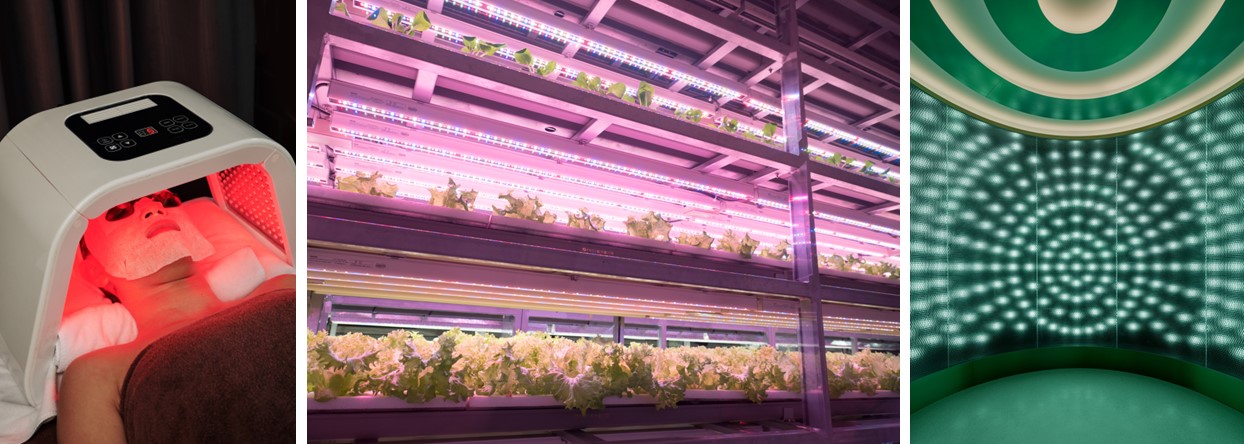 ブルーグリーンマスク』 2024年4月1日(月)より本格発売 | ヤーマン株式会社