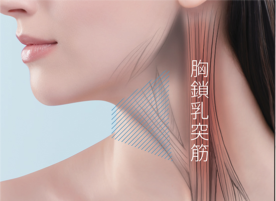 歯科医師監修の新メソッド『メディリフト ネック×深呼吸エクササイズ