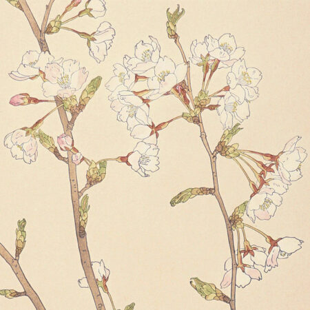 柳宗悦蒐集 民藝大鑑 全5巻」日本民藝館監修 | 山田書店美術部