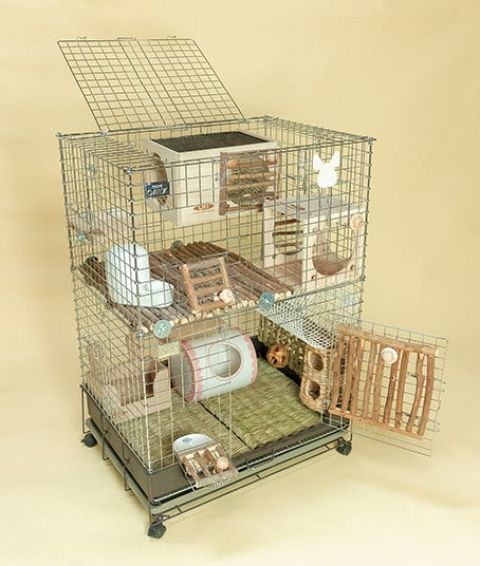 送料無料】コンフォート60 チンチラスペシャル STグレード｜ヤマゲンペット