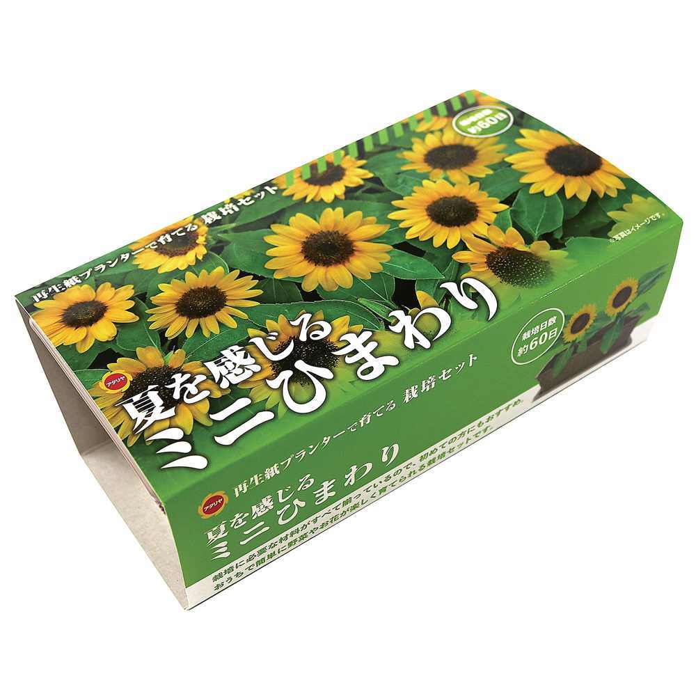 アタリヤ農園 ミニひまわり栽培セット [栽培キット 花 ベランダ