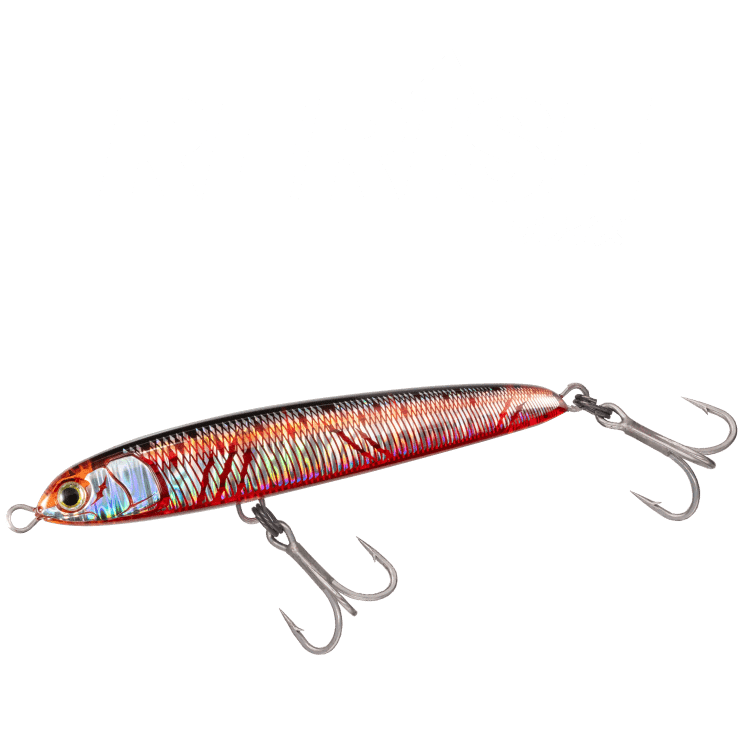 マリア製品情報一覧｜Maria｜海のルアーフィッシングのパイオニア