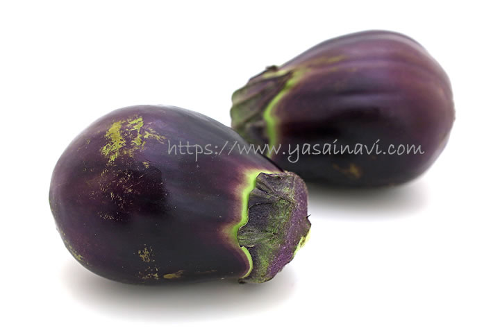 貝塚澤なす なす 味の感想や特徴など 野菜ブログ