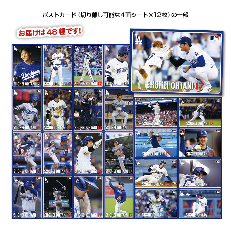 切手・趣味の通信販売｜スタマガネット 2024 大谷翔平 プレミアム