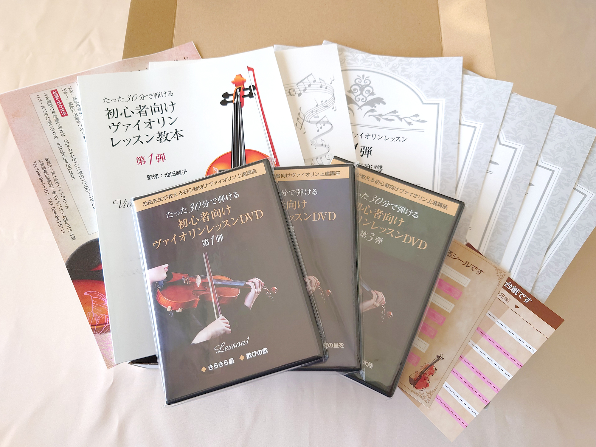 30分で弾けた！池田晴子の初心者向けヴァイオリンレッスンDVDを体験