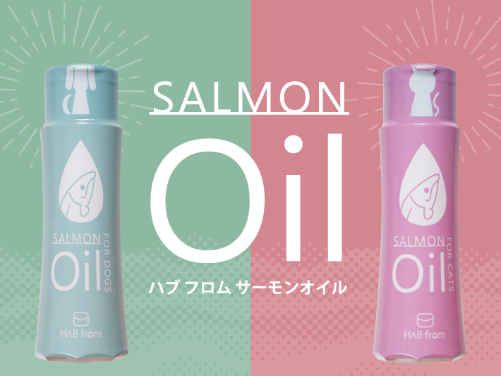 ゾイックNキャッツトリートメントインシャンプー ショート・ロング