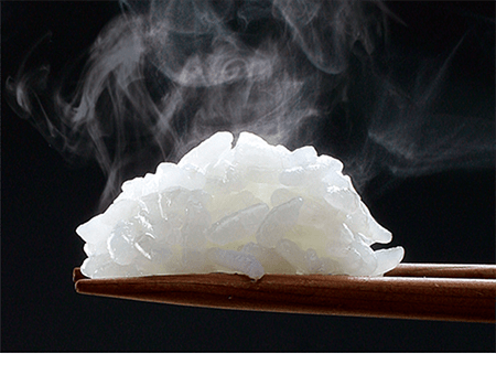 極め炊き® 圧力IH炊飯ジャー NP-ZX10・18 | 炊飯ジャー | 炊飯 ｜ 商品