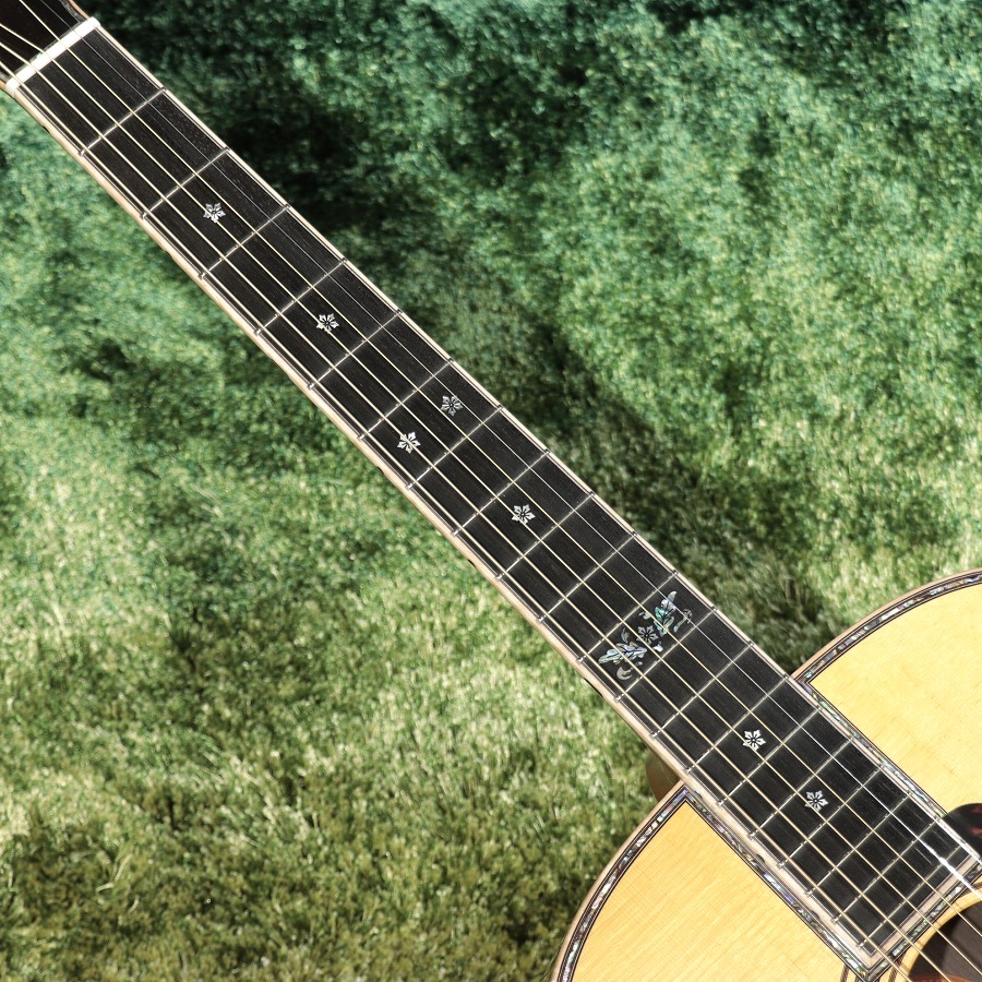 魅惑のハカランダ・トーン！ | イシバシ楽器スタッフブログ