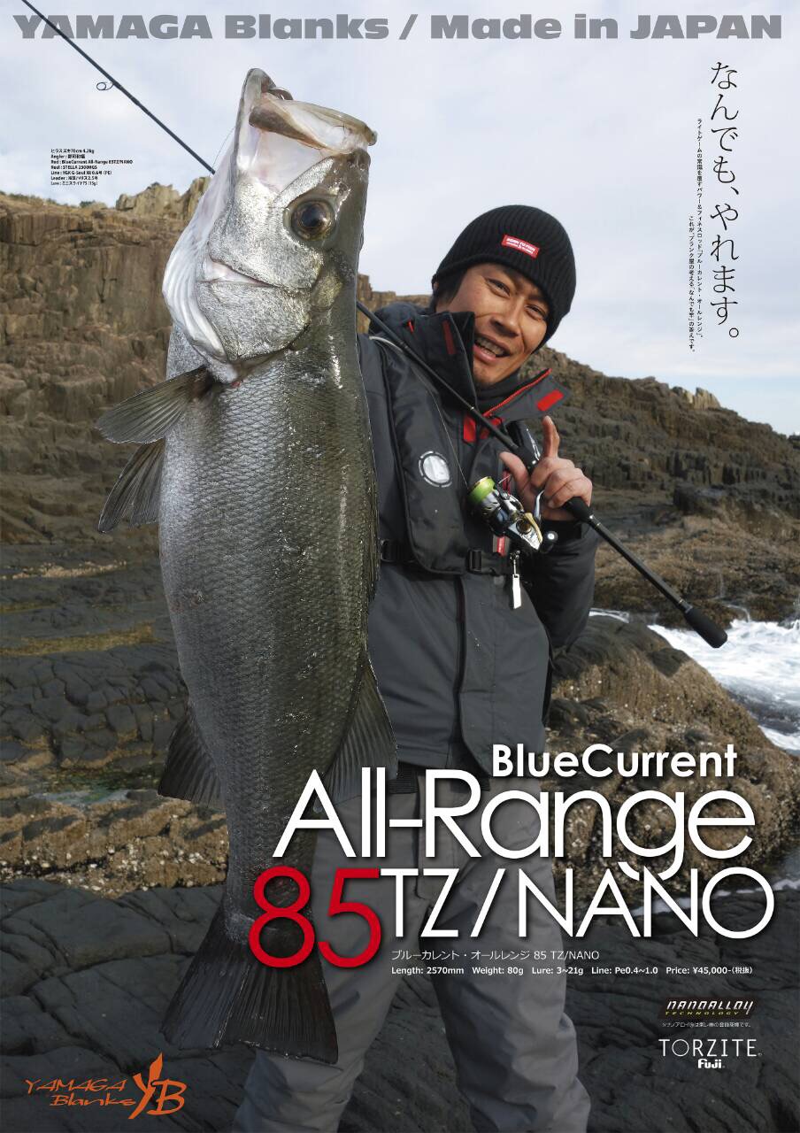 BlueCurrent 85TZ NANOのエギングロッドとの比較解説 | YAMAGA