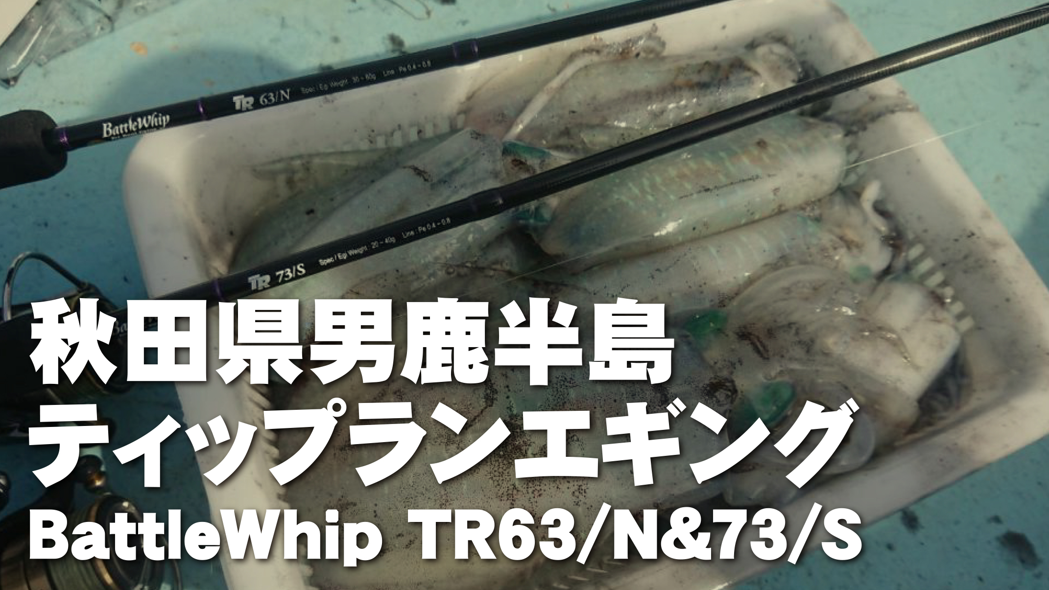 BattleWhip TR 63/N | YAMAGA BlanksYAMAGA Blanks