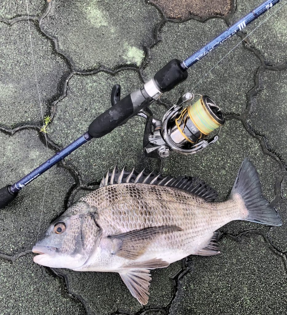 ライトゲーム五目 BlueCurrentⅢ 74 | YAMAGA BlanksYAMAGA Blanks