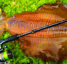 Calista TZ/NANO | YAMAGA BlanksYAMAGA Blanks