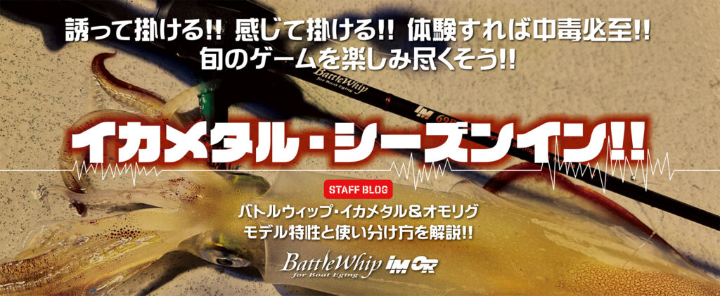 シーズン特集】いよいよシーズンイン!! イカメタルスタートガイド