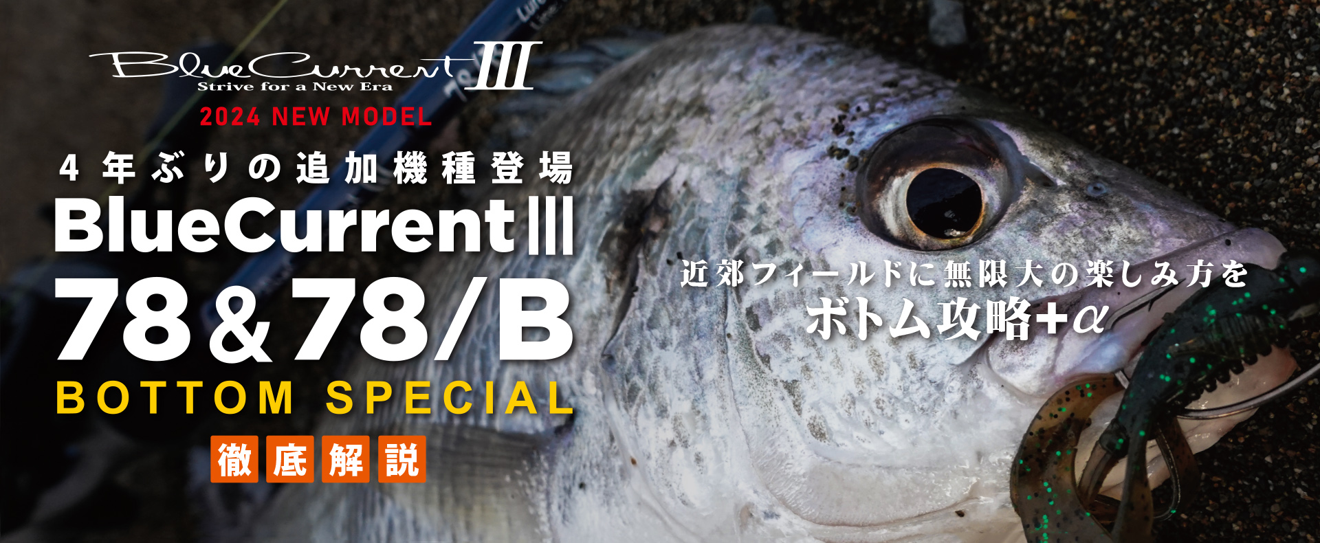 2024 新製品解説】BlueCurrentⅢ 78＆78/B 徹底解説 | YAMAGA