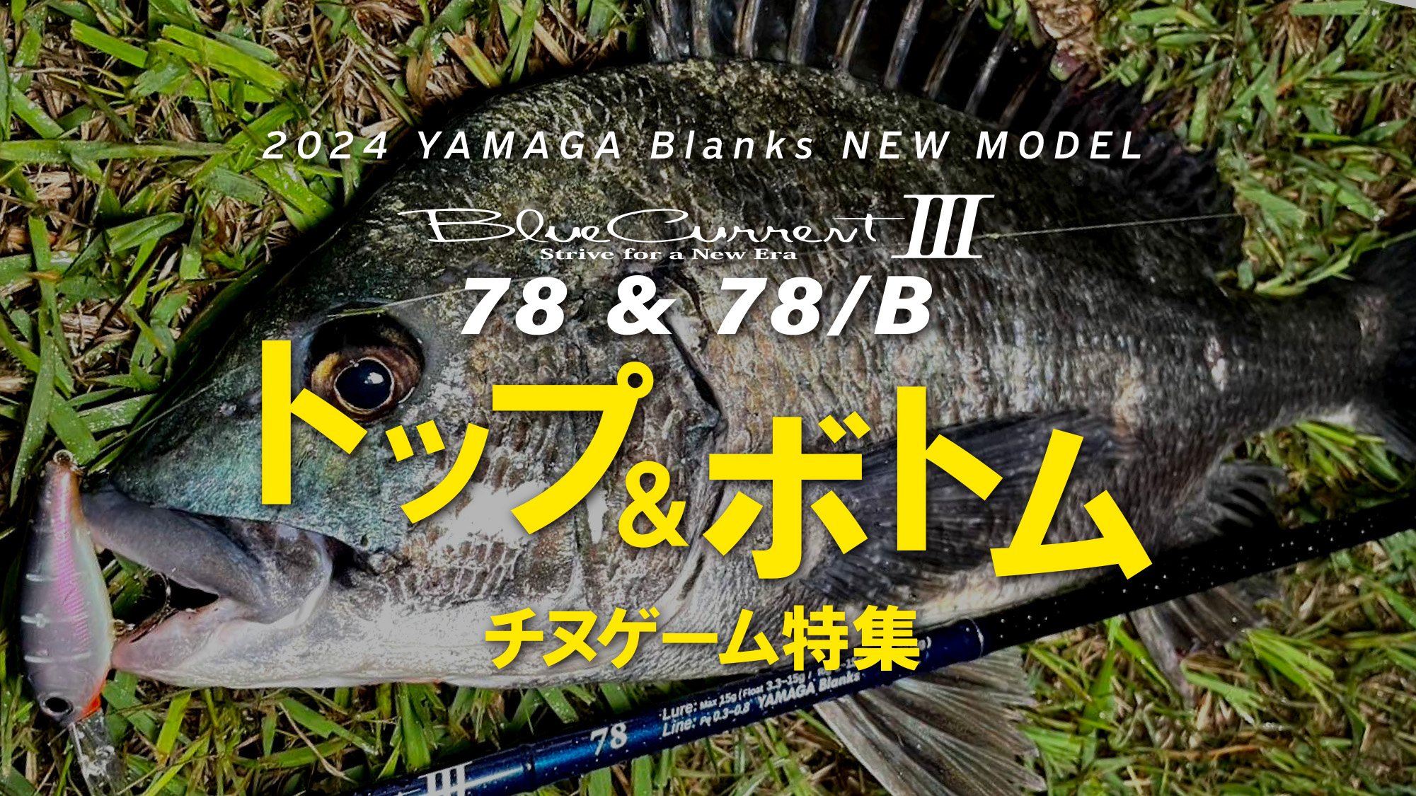 BlueCurrentⅢ 78/B | YAMAGA BlanksYAMAGA Blanks