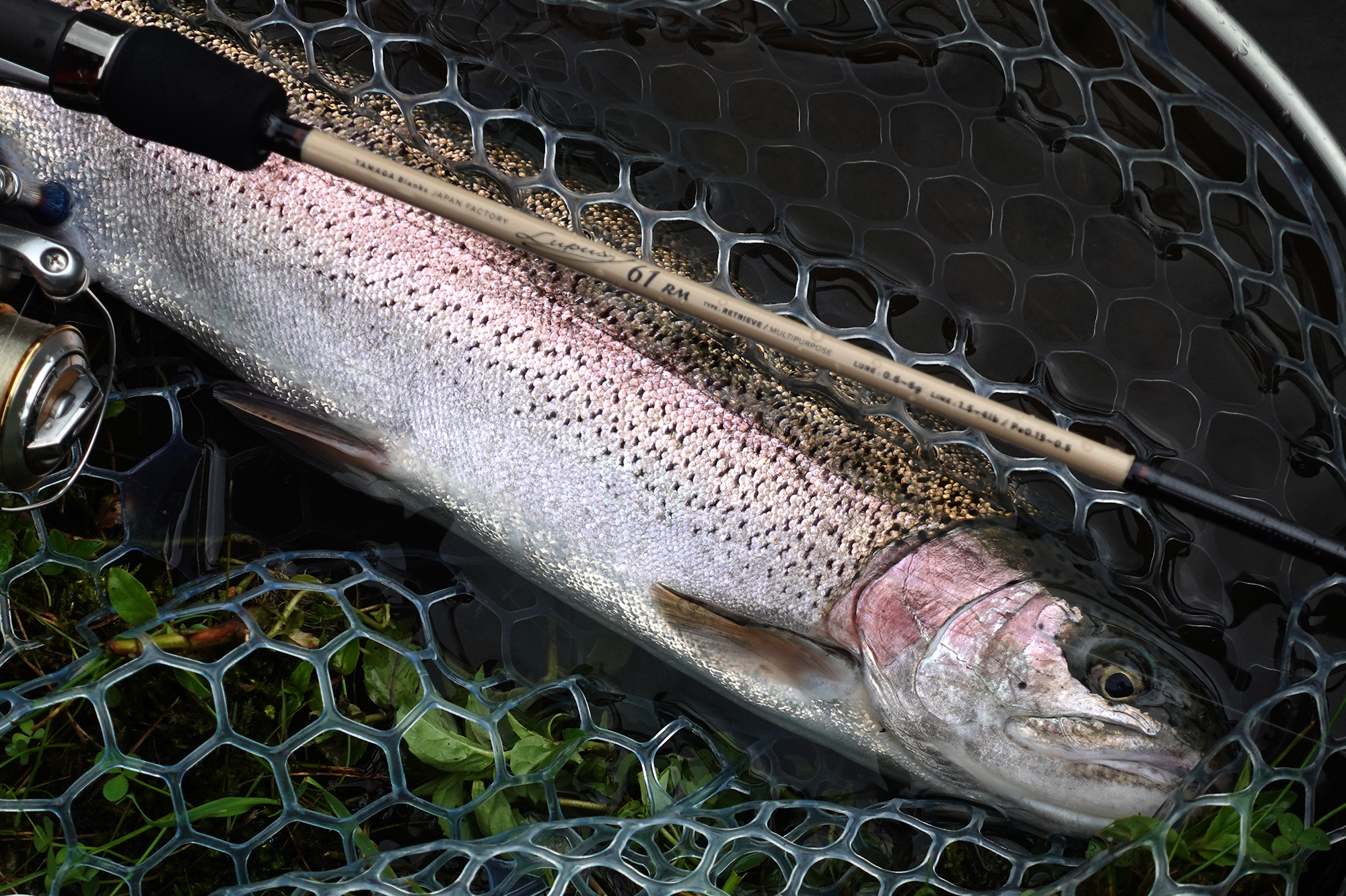 ルーパス・エリアトラウト】ヤマガブランクスらしさで選ぶオススメ