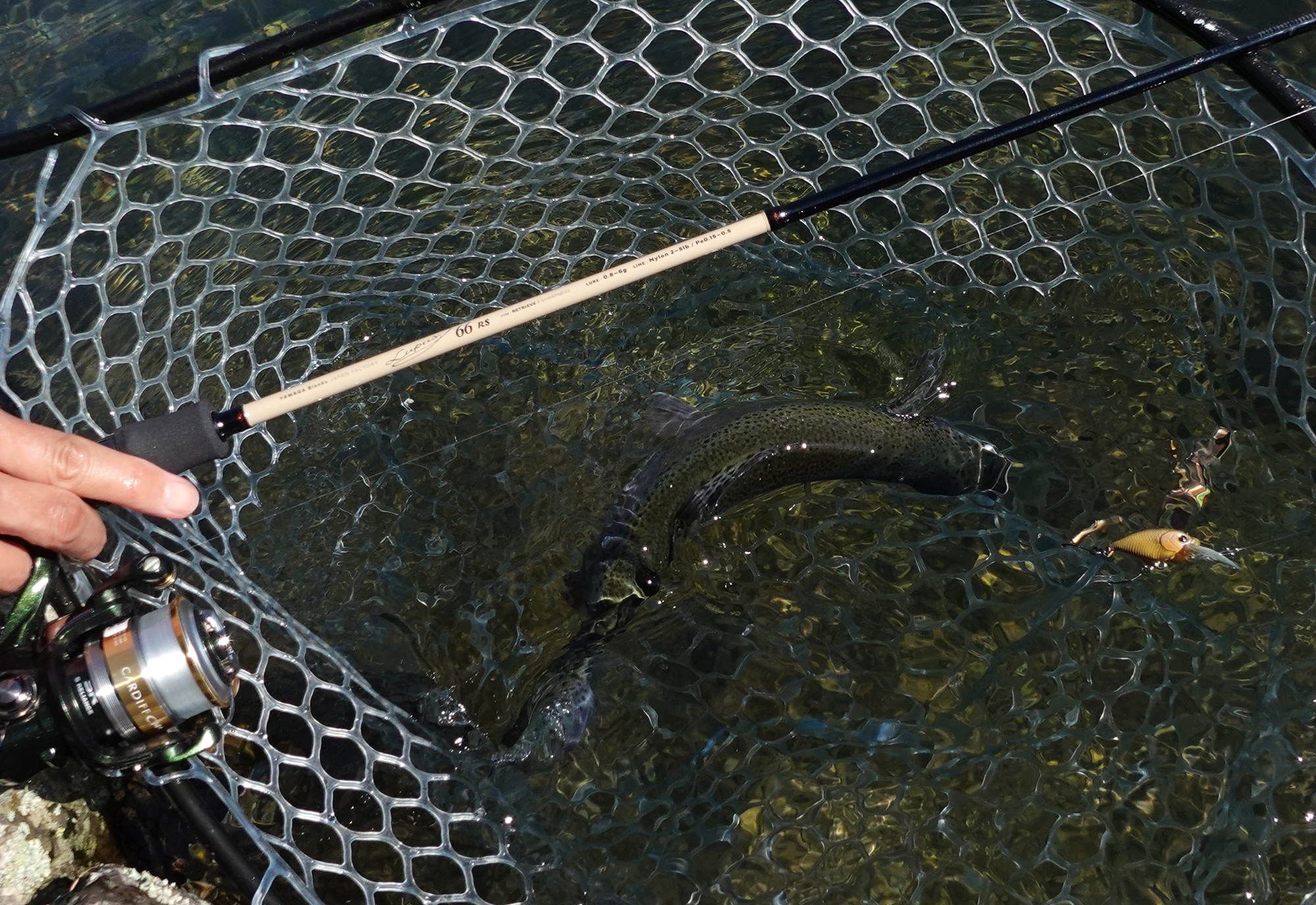 ルーパス・エリアトラウト】ヤマガブランクスらしさで選ぶオススメ