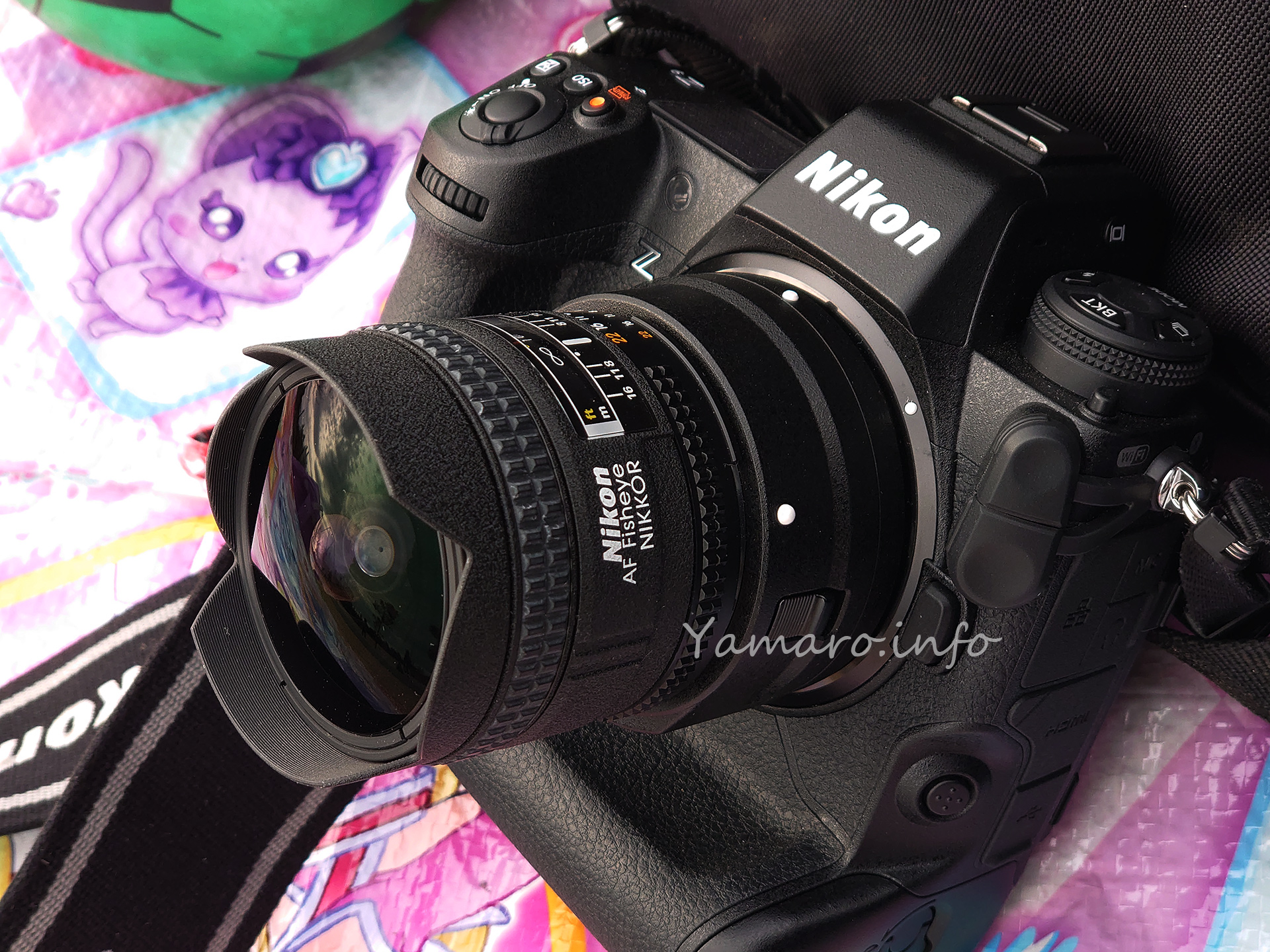 Nikon Z 9 + AI AF Fisheye-Nikkor 16mm f/2.8D - Blog@yamaro.info