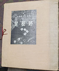 田淵行男 関連著作一覧