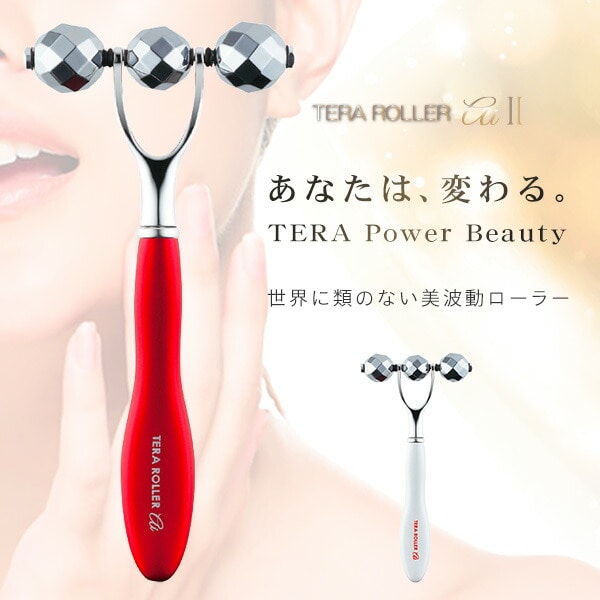 テラローラー アイ2 テラタイトローラー 美顔ローラー スプレンダーISO