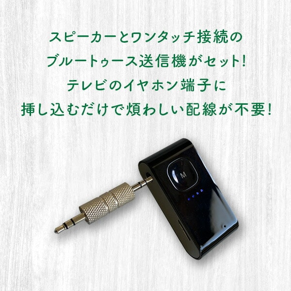 手元スピーカー カラオケマイクセット マイク2本 ST-2028BT とうしょう