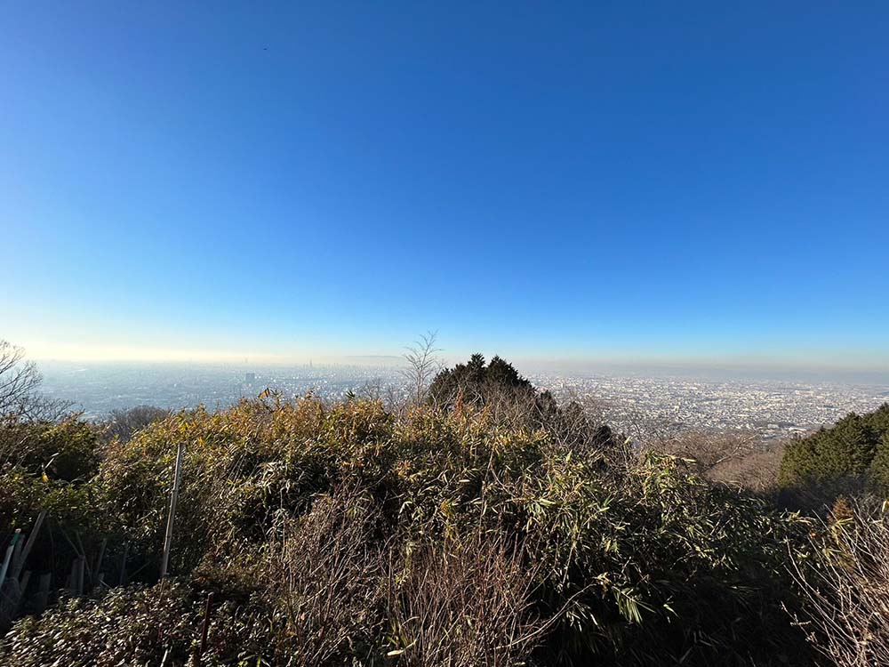 近鉄信貴山口から7分！八尾の絶景スポット「ごじゅうからガーデン