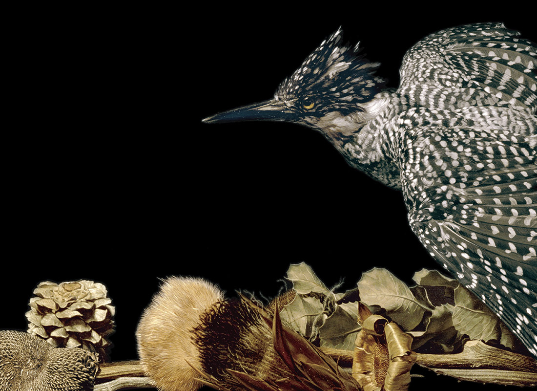 野田弘志-真理のリアリズム｜山口県立美術館