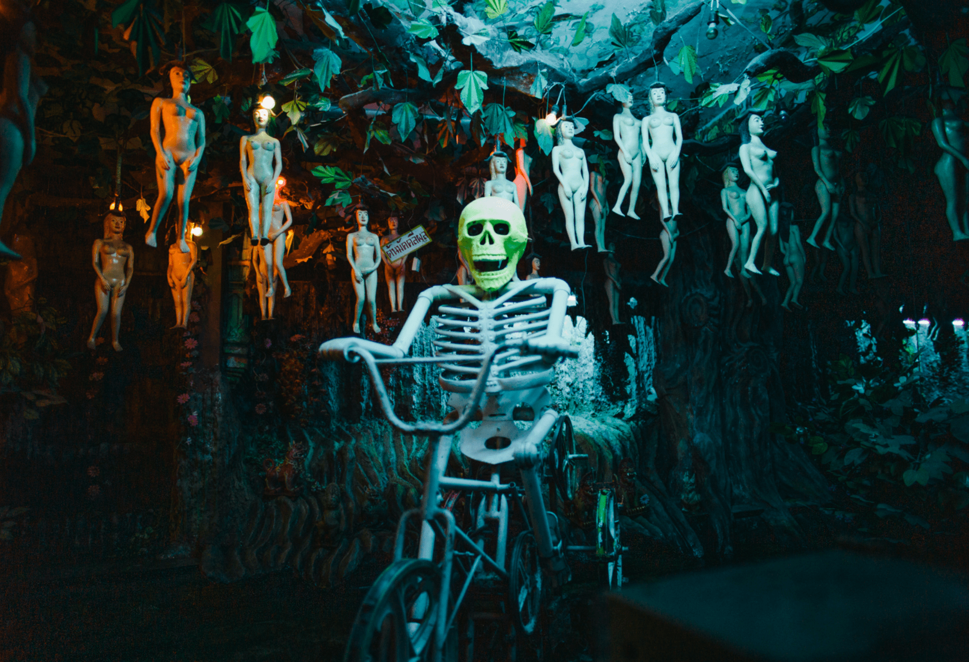 佐藤健寿展 奇界／世界｜山口県立美術館