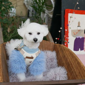 2月22日のわんこたち②