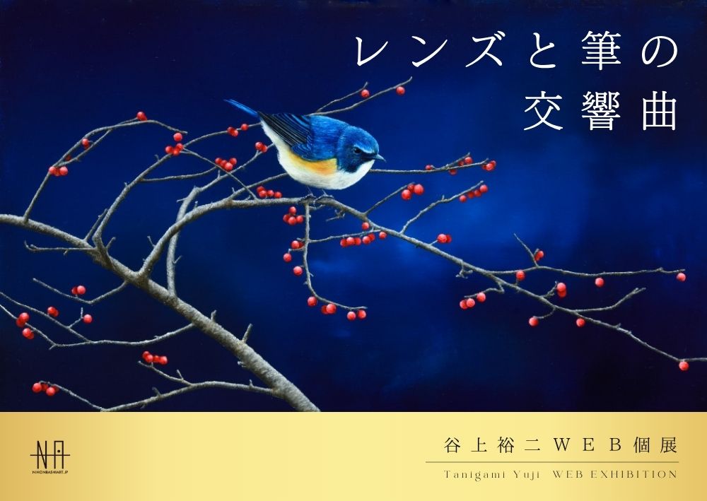 YUJI TANIGAMI | With Nature | 絵と写真で綴る生きものたちの世界