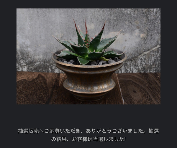 カタチ製作所の陶器鉢はどう買うの？購入方法まとめ｜BOTANILIFE