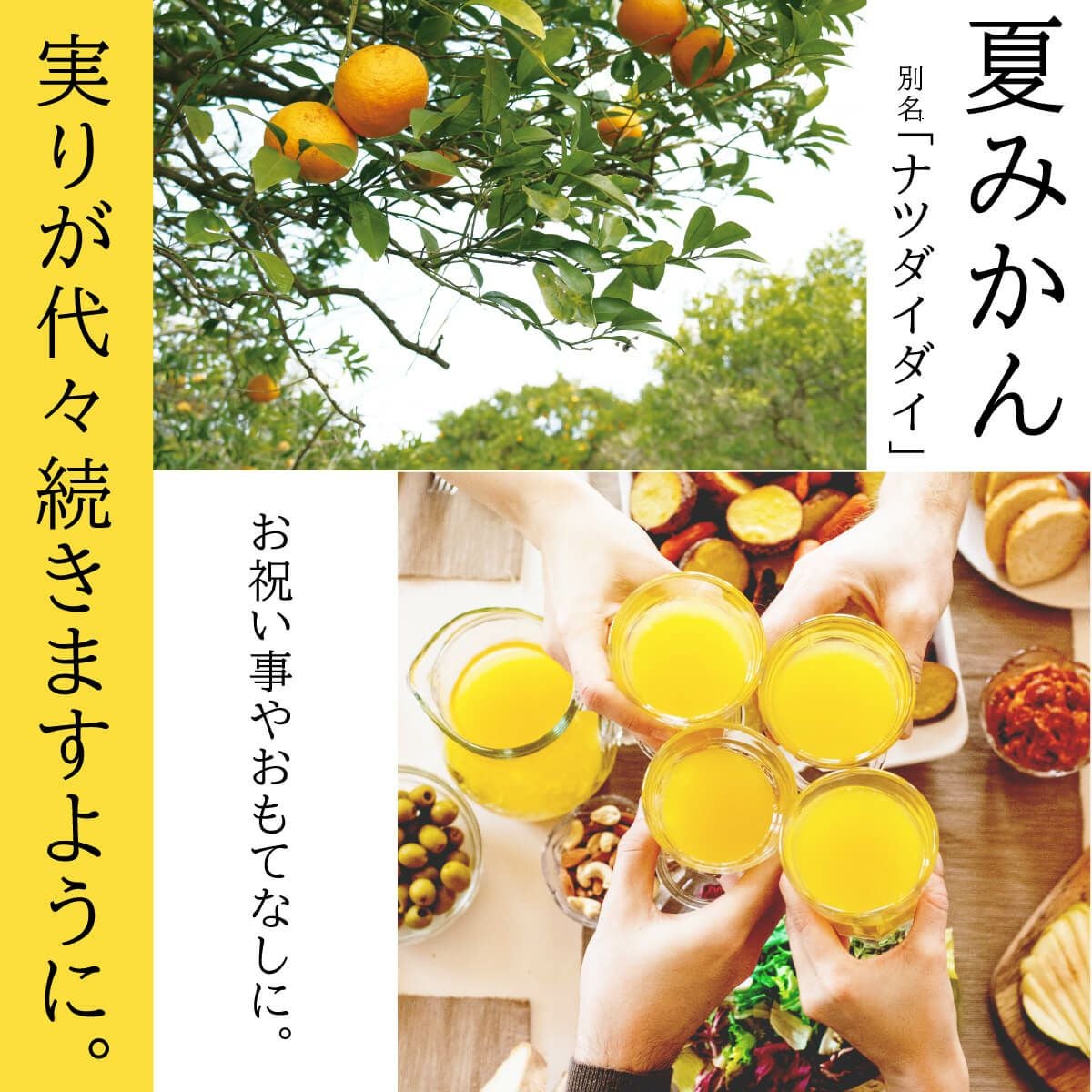 夏みかん4（500ml）単品 | 柚子屋本店ONLINE STORE