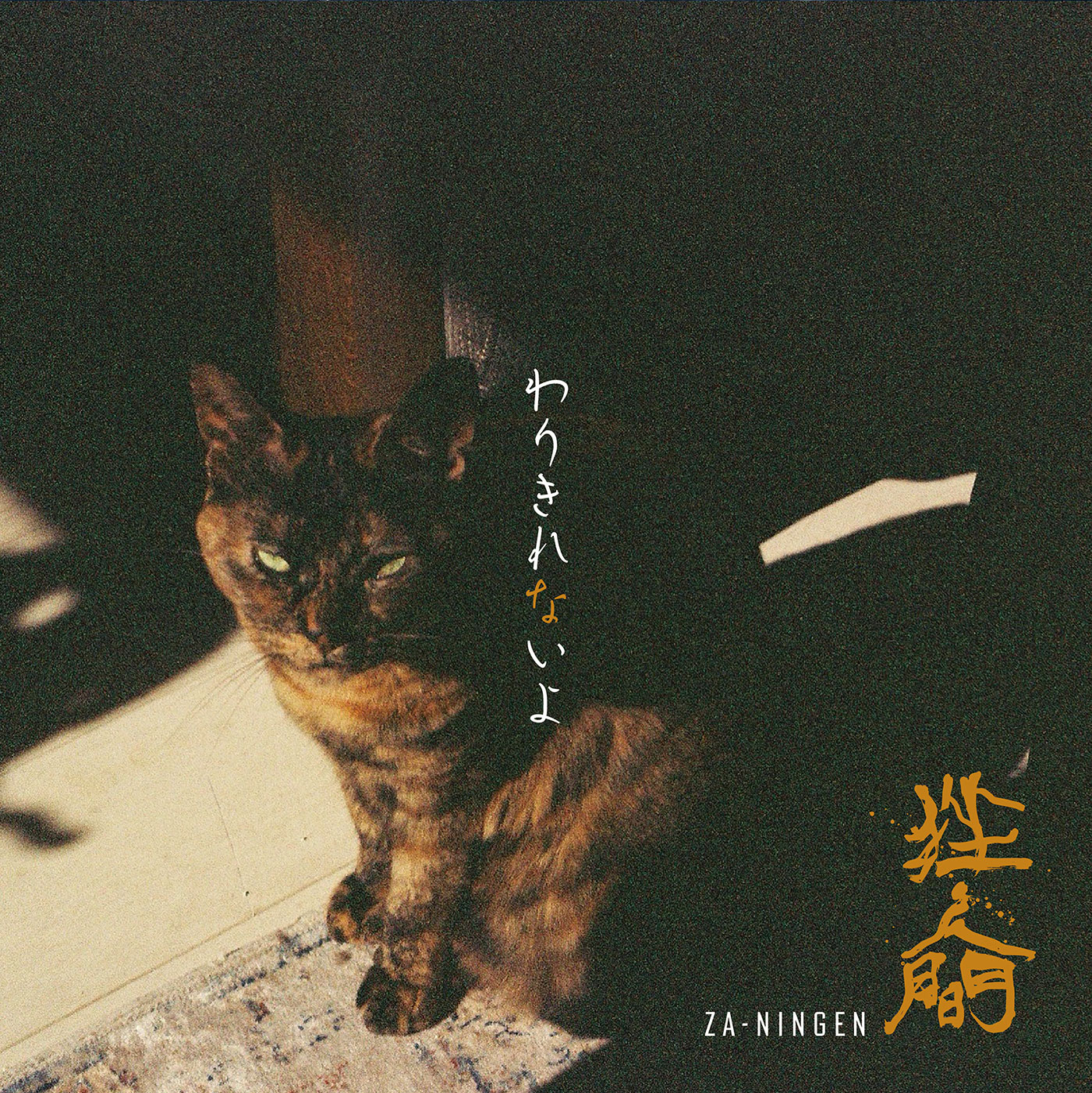 DISCOGRAPHY - 挫・人間のオフィシャルホームページ