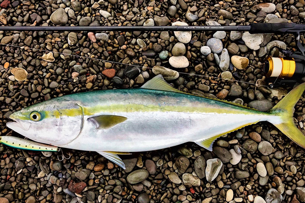 PLAISIR ANSWER - ZENAQ(ゼナック) | オフィシャルサイト