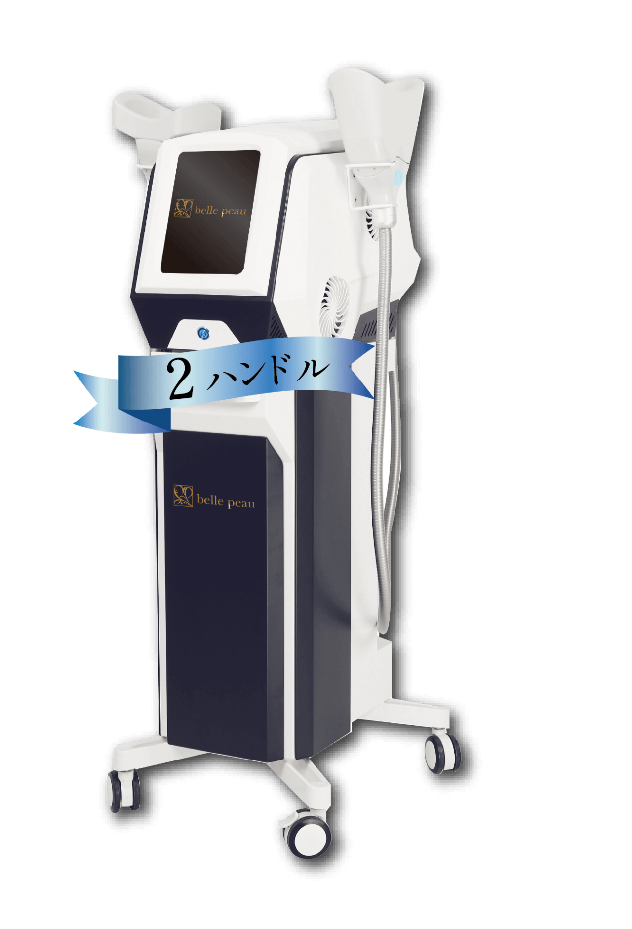 3D Ice carving Cryo | 株式会社 ZEAL[ジール]