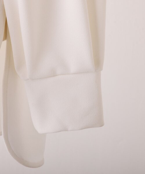 BEARDSLEY（ビアズリー） ブラウス シャツ Tブラウス レディース