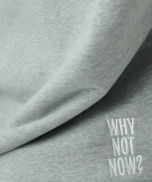 Chaos（カオス） トレーナー スウェット /「限定カラー」WHY NOT NOW