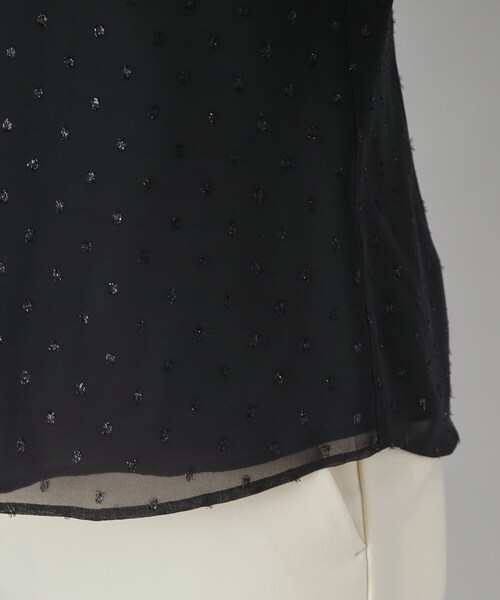 DRESSTERIOR（ドレステリア） ブラウス シャツ 「洗える/シアー素材