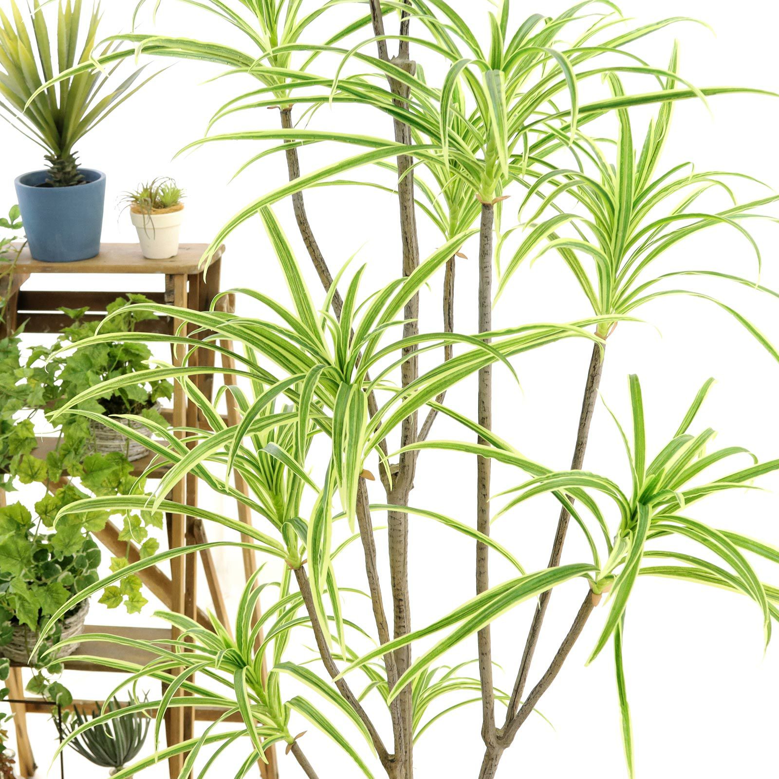 No9377 プレミアム光触媒フェイクグリーン 「ダイナミックに広がる11枝