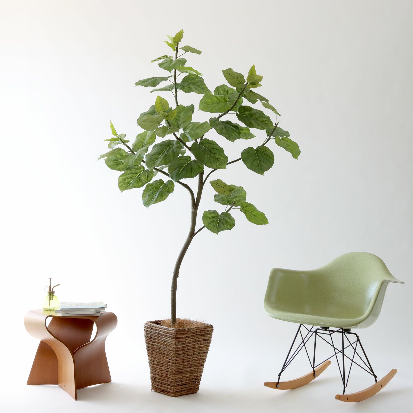 フィカス・ウンベラータ | プレミアム光触媒フェイクグリーン 造花